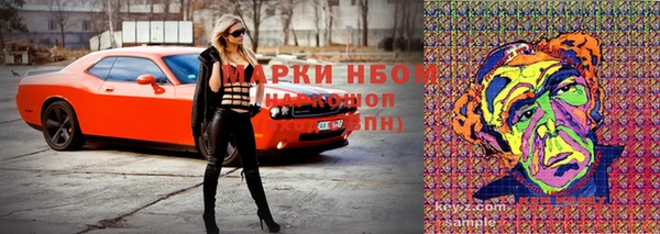 гашик Алзамай