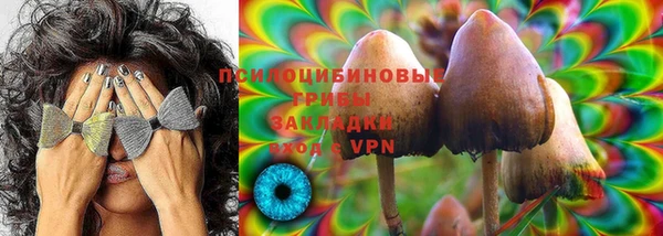 гашик Алзамай