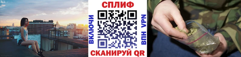 купить наркотик  Новошахтинск  Конопля сатива 